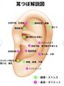 耳ツボジュエリー♪2回目以降。カウセリング+お好きなジュエリー6粒♪