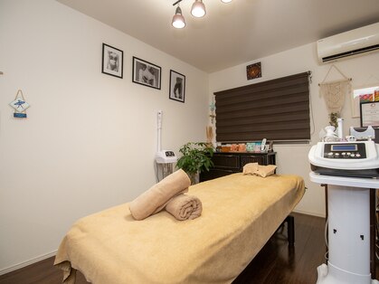 ヒマワリ(HimAWArI)の写真