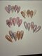 カカネイル(KAKA.Nail)の写真/着替えるように指先を彩る！低価格で挑戦しやすい、旬のデザインネイル大集合！
