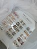 【2回目以降】一番人気☆季節サンプルオリジナルデザイン☆¥7400