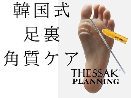 テリー(Terry)の写真