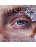 高持続！【LEDエクステ　バインド60束】　¥8,000