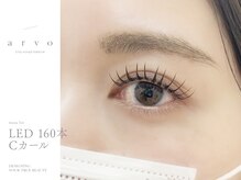 アルボ ムサシ新潟店(arvo)/LED160本 Cカール