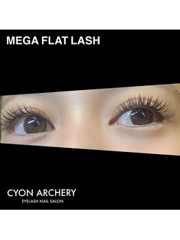 ショーン アーチャリー(CYON ARCHERY)/メガフラットラッシュ100束