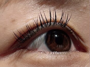 カラン 焼津店(CALIN)/LEDフラットマットラッシュ