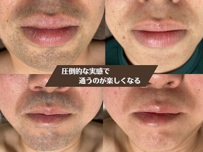 ジェムの森の写真