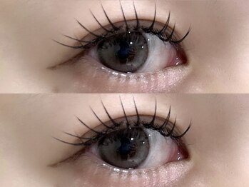 アミル(amiLe)/フラットラッシュ★100本