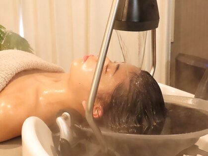 ヒペリカムプラス(ヒペリカムplus.)の写真