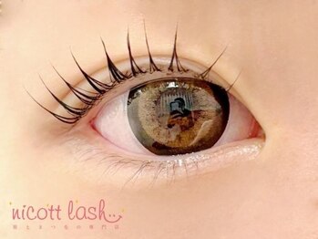 ニコットラッシュ 神戸三宮店(nicott lash)/まつげパーマ/パリジェンヌ/神戸