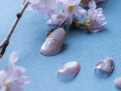 ツメトトノウの写真