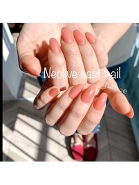 ワンカラー×マットコート
