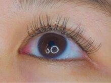 ウルカ アイラッシュ(uruka EYELASH)/フラットラッシュ 120本