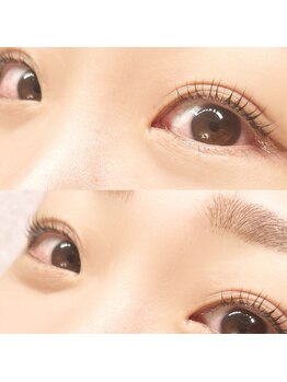 ロール(Roll)/まつげパーマ