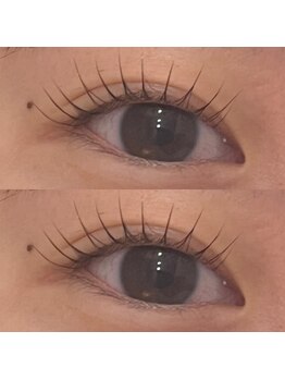 ピピラッシュ(pipi lash)/ラッシュリフト