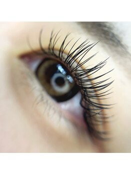 シックドゥホンジョウ(CHIC de Honjo)/フラットラッシュ