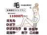 【脱毛応援キャンペーン】都度払いが気軽で安心♪全身脱毛¥34650→¥11000