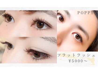 ポピー(POPPY)の写真