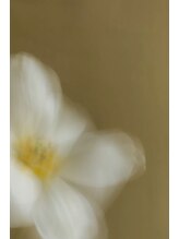 ハイニー(HINY)&nbsp;himeka 