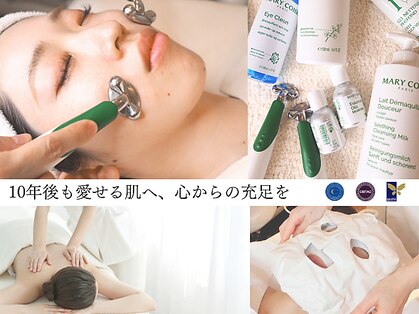 ホワイトカメリア(White Camellia)の写真