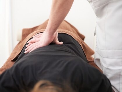 オアシスの写真