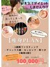 【痩身】【鍼で楽してダイエット♪】鍼/酵素ドリンク/カッピング/耳ツボ