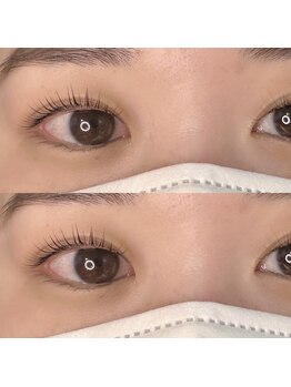 シピ 柏東口店(Chipie)/メーテルロッド：まえかど