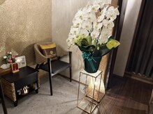 パヤタイトウキョウ 銀座店(PHAYA THAI TOKYO)/オープン記念に♪