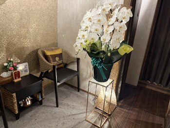 パヤタイトウキョウ 銀座店(PHAYA THAI TOKYO)/オープン記念に♪