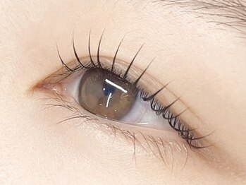 プリマ 真岡店(PRIMA)の写真/[学割U24]似合わせまつ毛パーマ/[SNS話題]韓ドル風まつ毛パーマ♪韓国ロットで仕上げる束感が当店大人気◎