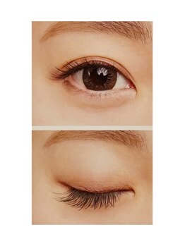 シルフ ブリエ(sylph Briller)/