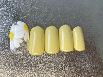 バタフライ 津田沼店(Butterfly)/定額デザインA/フラワー