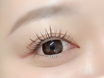 ベルエ 天王寺店(Belle)/フラットラッシュ/マツエク