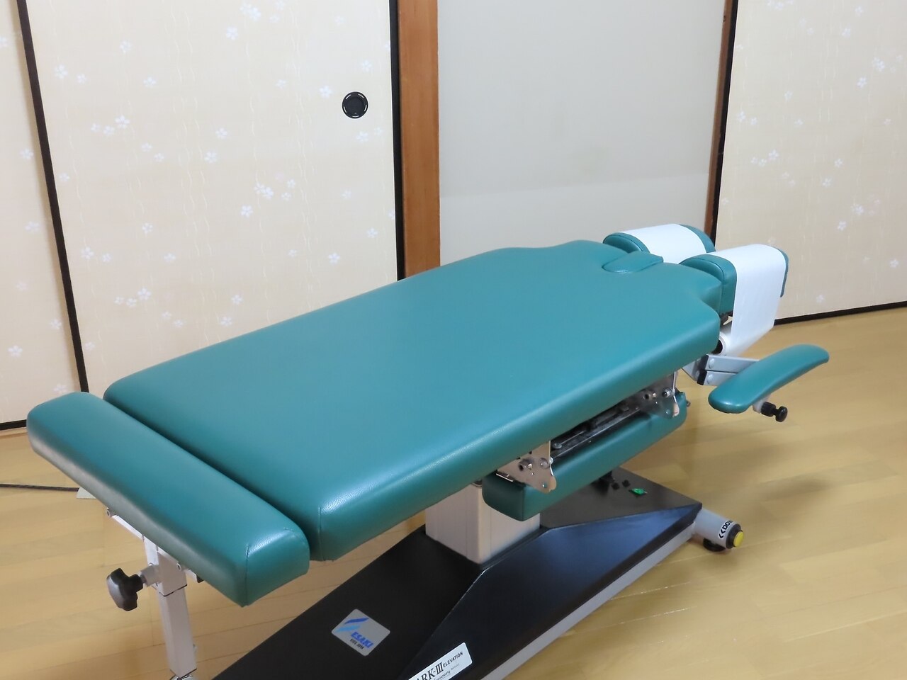 整体 カイロ 高級脊椎模型 治療院 【公式通販】