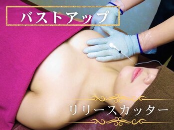 美容エステサロン ヴィアージュ 王子店(Viage)の写真/バストアップメニューあり！県外からも通ってくださるリピーター様続出！二の腕・背中のハミ肉をバストに！