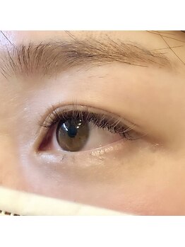 ハピネス(HAPPINESS)/フラットラッシュ140本