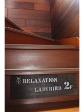 レディバード(Lady Bird)/サロンは2階です♪