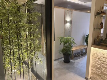 スカイガーデン(SKY GARDEN)/