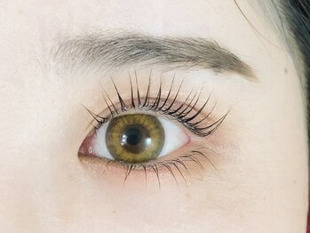 リノ 天神(LINO)/ラッシュリフト上下