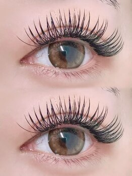 アトリエ ボノ(BONO)/メガフラットラッシュ