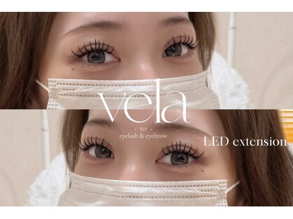 ヴェラ(vela)の写真