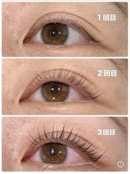 オッターヴァ 学芸大学(8va.)/マイラミネーション（まつパ）