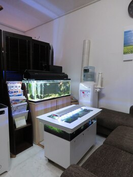 本格骨盤矯正 整体院 さくら庵/応接室