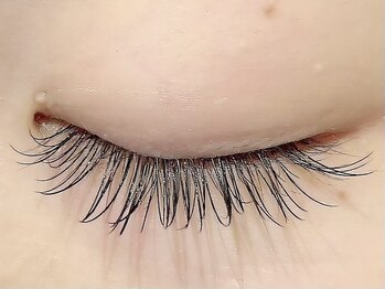 カラン 焼津店(CALIN)/フラットラッシュ120本