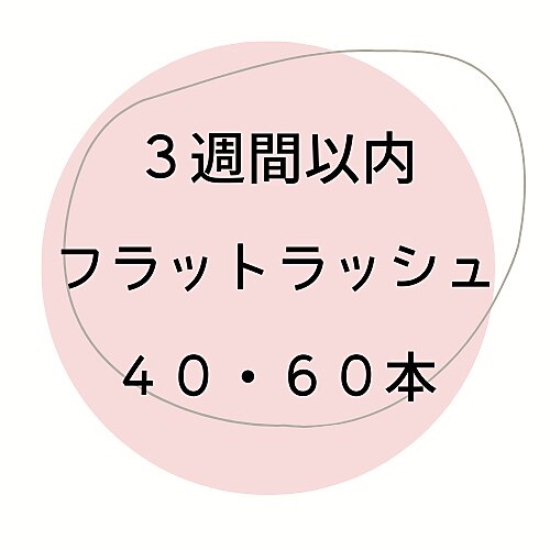 【3週間以内ご来店 】リピーター様優待価格【フラットラッシュ】40・60本