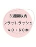 【3週間以内ご来店 】リピーター様優待価格【フラットラッシュ】40・60本