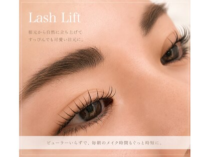 ケーアンド(K&)の写真
