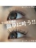 【3Dボリュームラッシュ】老舗サロン推しクォリティ★束感で目元をかわゆく★