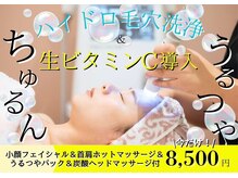 レティシア(Leticia)