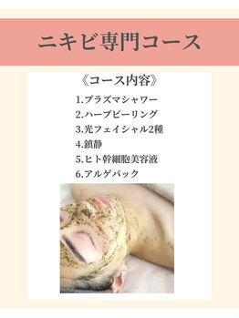 ナーズプラス リベルテ(Naz Plus/Liberte)/ニキビケア専門のコース