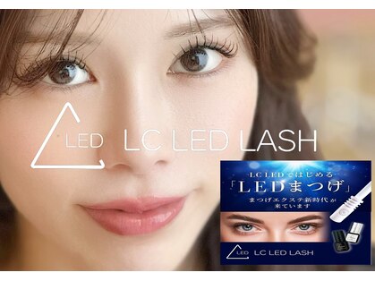 エメドットフルール(Hemer.f)の写真